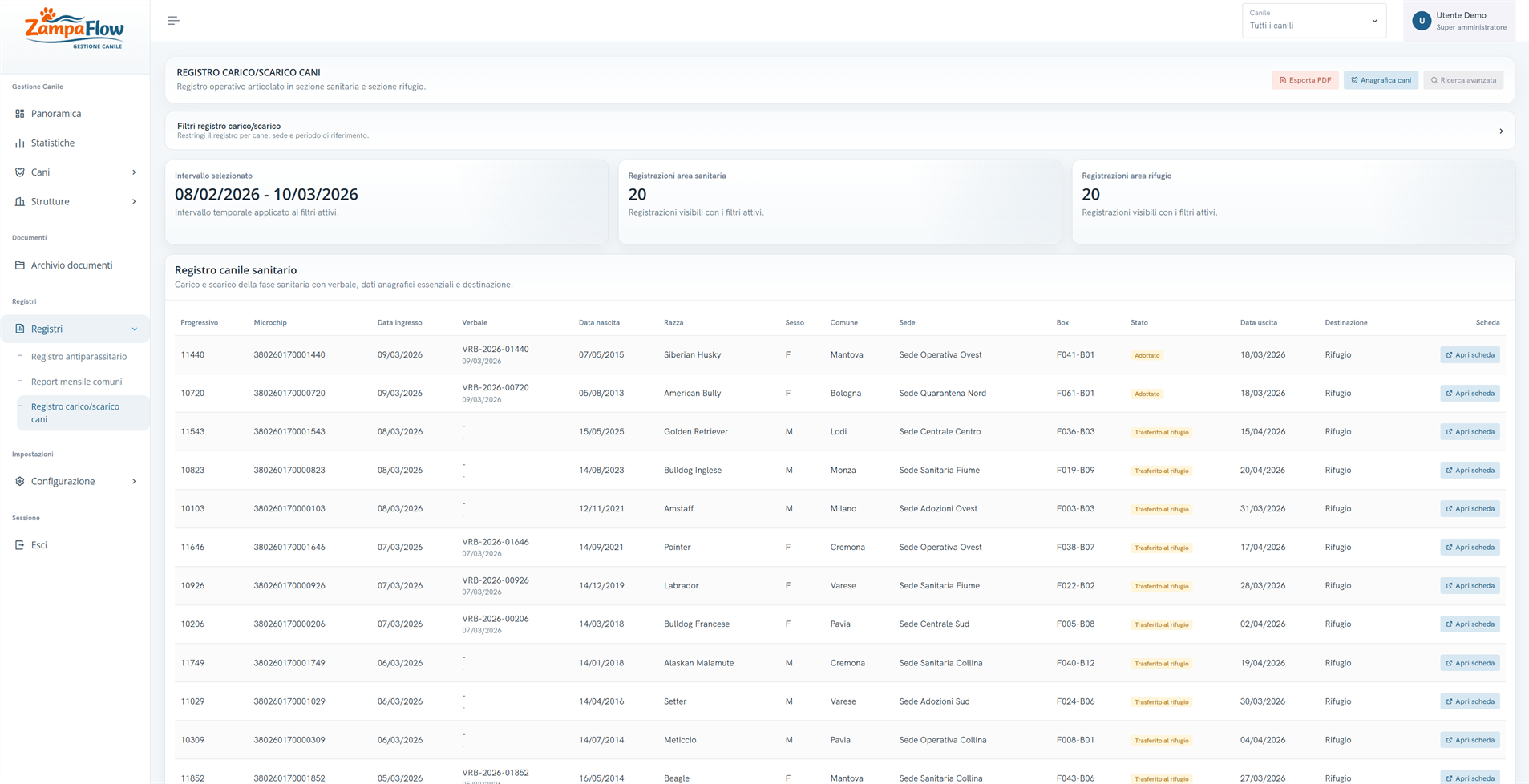 Vista report ZampaFlow